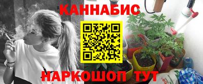 трава Славянск-на-Кубани