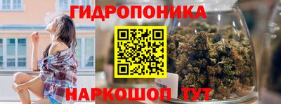 дурь Сланцы