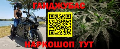 трава Славянск-на-Кубани